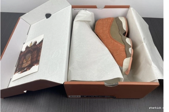 AT3102-200 SEPIA BLUSH AIR X 13 STONE CANTEEN-TERRA AT3102-200 CLOT LOW JORDAN 0904